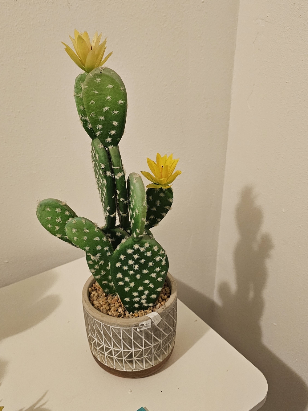 Green and Yellow Faux Cactus in Decorative Pot - Home Accent